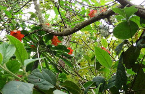 Villa Deluxe Suites Maspalomas - Photo 62