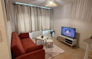 Le joli petit Bannier T2 Neuf , Fibre - Foto 1