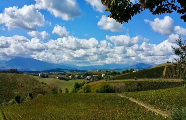 Serene Apartment in Ascoli Piceno with Hot Tub - Foto 32