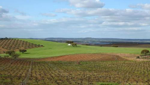 Turismo Rural Pedremoura - Foto 4