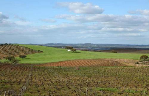 Turismo Rural Pedremoura - Foto 4