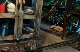 Praia Comprida Flats - Foto 45