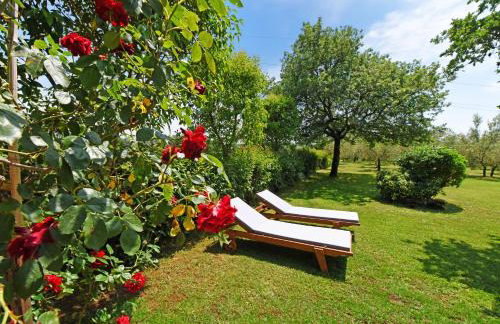 Holiday Home Sergo - Foto 23