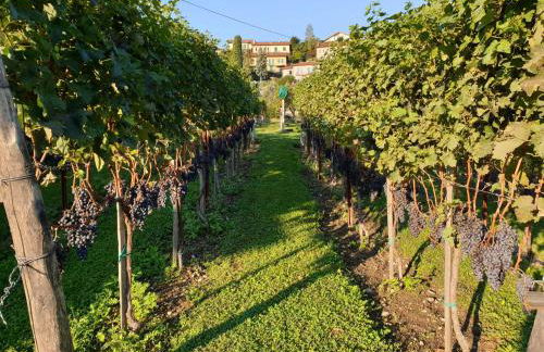 Bellagio Il Crotto - Foto 42