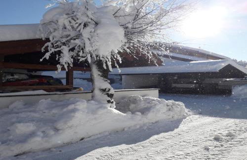 Almenhof Neuner - Foto 16