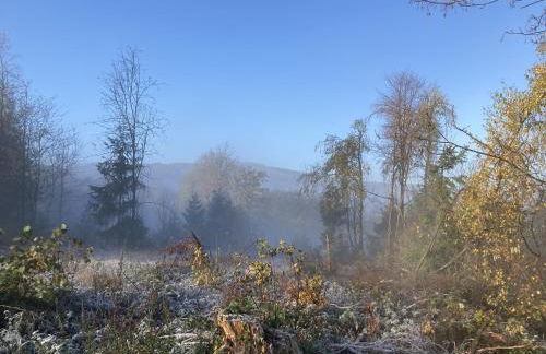 Gittas Paradiesperle - Foto 19