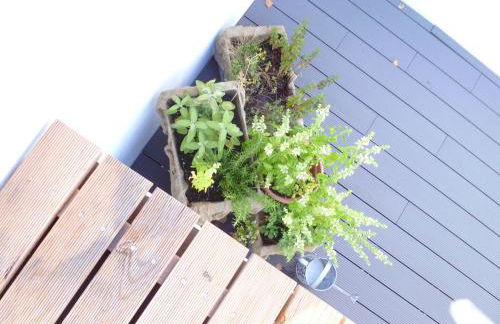 El Campizòl - Photo 21