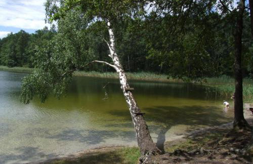 Leśny Zakątek Lipinki Bory Tucholskie - sauna - Foto 33