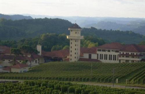 Casa das Palmeiras + Quiosque - Foto 75