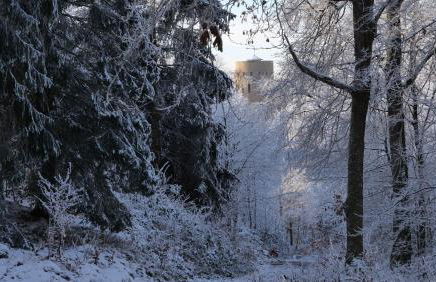 Ferienhaus Broche - Foto 41