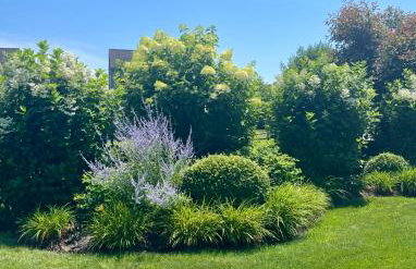 Katama Family Fun - Foto 27