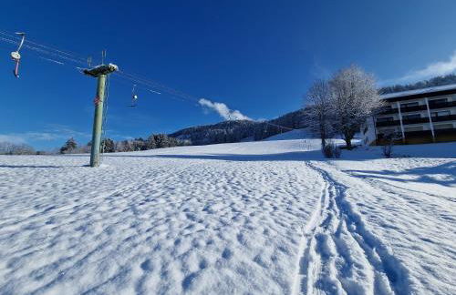 Allgäuer Ausblick - Foto 40