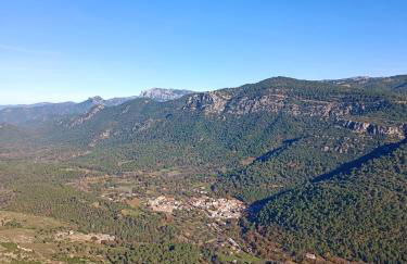 Águila Real - Foto 8