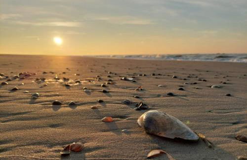 Friesenrose Süd - Foto 22