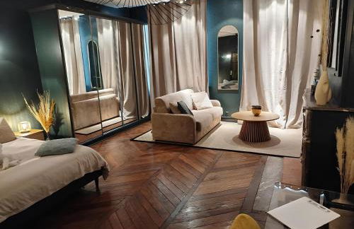 Nancy Vieille Ville Stanislas - Foto 61