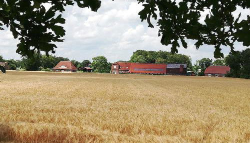 Etzel-Lodge Weideblick - Foto 5, Garden