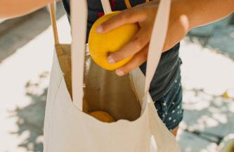 Lemon Tree House - Photo 50