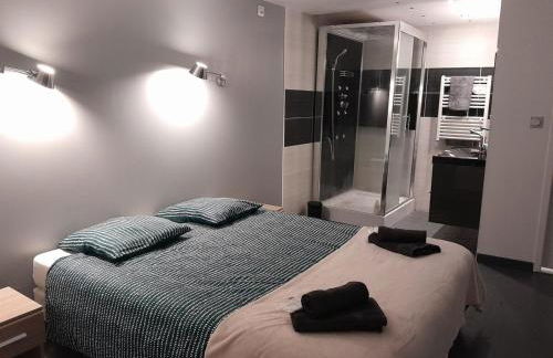 Maison Spacieuse 3 chambres, billard, proche Zénith, - Foto 8