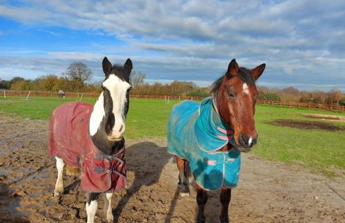 Modern, Stylish lodge with Paddock Views - Foto 21