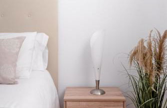 Salamandra - Photo 28