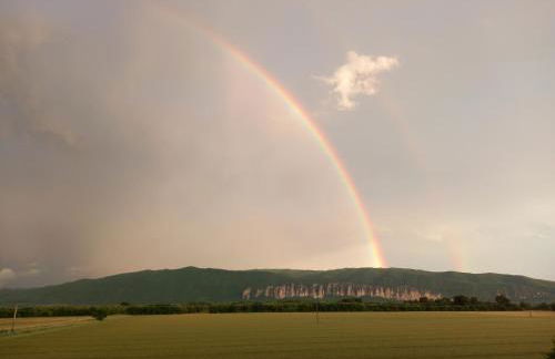 La Cigalière - Foto 13