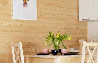 Wiśniewski Apartamenty pod Szczyrkiem - Foto 14