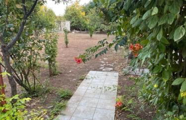 Cosy spot near the beach only 45 min from Athens - Foto 40