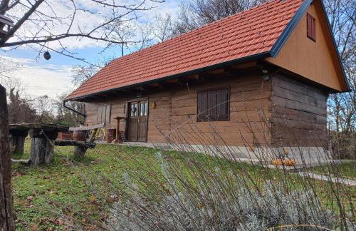 Kuća za odmor Josipa - Foto 29