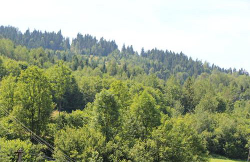 Agroturystyka Jagodowa Róża - Maria Farganus - Foto 8