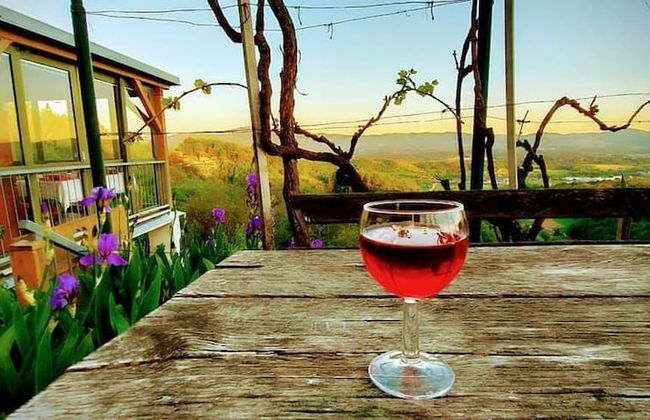 Vineyard cottage Verček - Photo 20