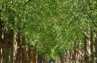 Cosy house with workplace, balcony and garden 30 min to Marienburg - Foto 39