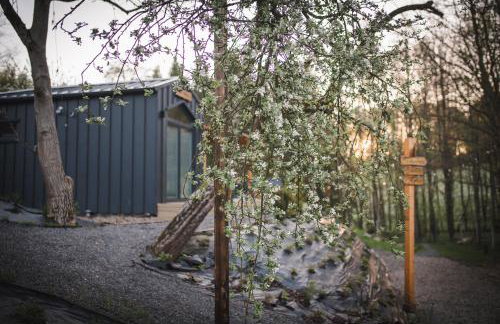 Domki pod Krakowem - Stare Sady - Photo 149