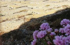 HaRe Ferienwohnungen - Foto 60