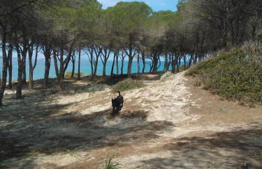 Casa vacanza Tanaunella - Foto 26