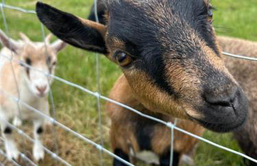 Four Bedroom House With Private Pool - Stunning countryside location with parking close to Chester City Centre - Photo 19