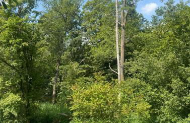 Unique Luxury Villa 22 min to Munich 290m2 Pool Sauna - Foto 60