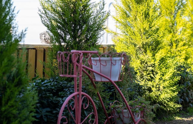 Argento Plazzo Hotel Bodrum - Foto 65