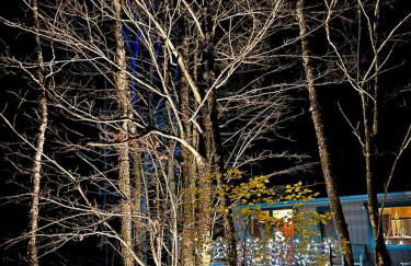 Secluded Waterfront Cabin Rental on Lake Superior near Red Cliff, Wisconsin - Foto 22