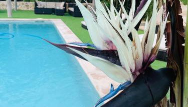 Can Mossènyer - Foto 5