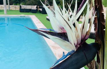 Can Mossènyer - Foto 5