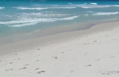 Flats Paraíso Paradisíaco - Foto 15