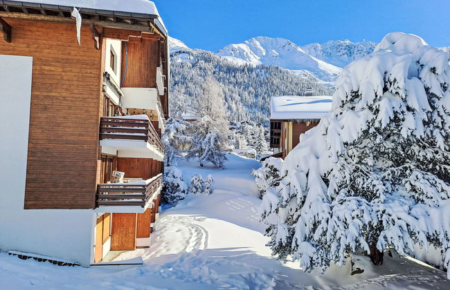 Vert Pré 3 - Foto 20