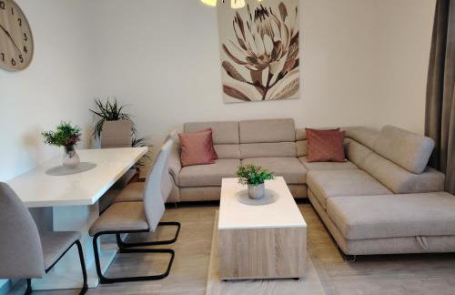 Apartman David - Foto 10