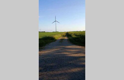 Klein-Tjücher-Grashaus 4 - Foto 26