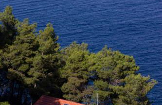 Modern Robinson Veli Bare - Photo 24