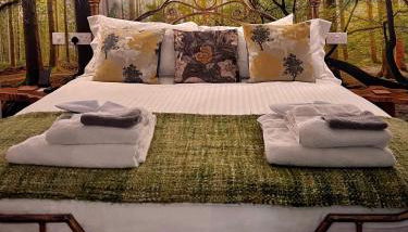 Luxury tree-house with optional ESPA Spa - Foto 2