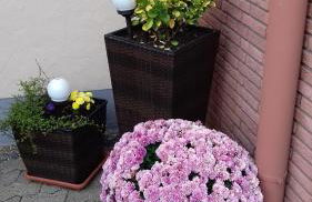 Ferienwohnung Gerhard Lenz - Foto 12