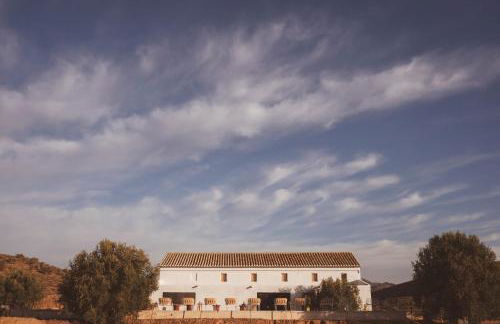 Cortijo Banana, villa rural para grupos grandes y piscina privada entre olivos - Foto 70