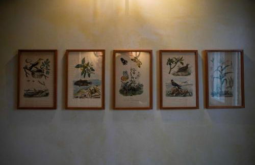 Parco di Montebello - Foto 50