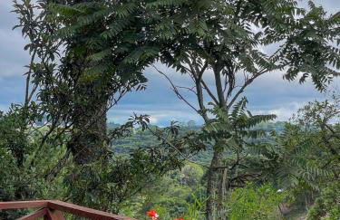 Cabana Alecrim da Serra - Foto 7